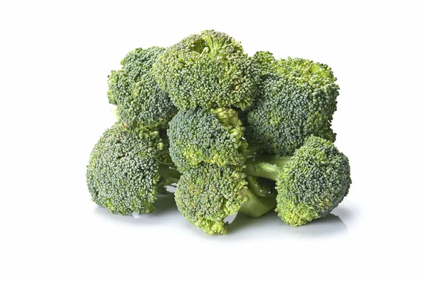 Broccoli isolated. — Stock Photo, Image