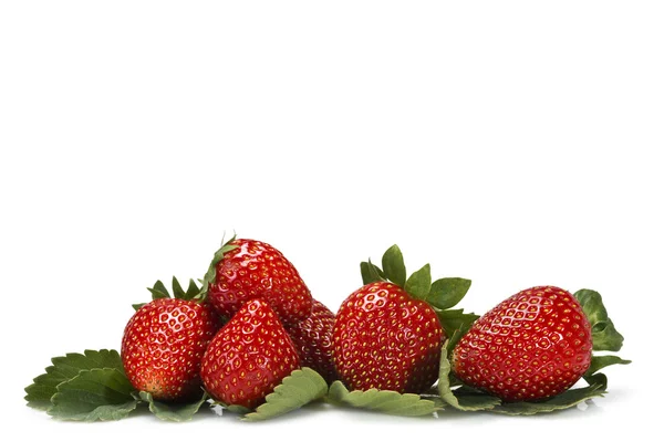 Erdbeeren und ihre Blätter. — Stockfoto