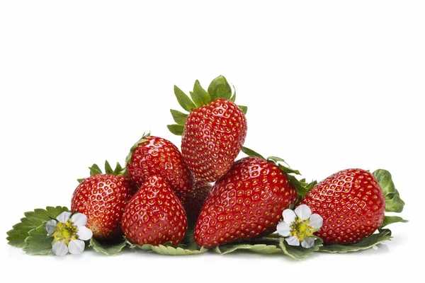 Strawberries with leaves and flowers. — Stock Photo, Image