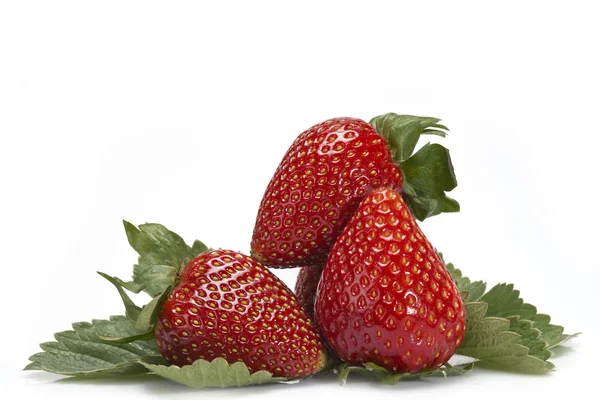 Three strawberries. — Stock Photo, Image
