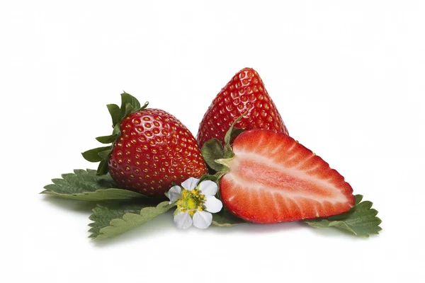 Erdbeeren mit ihrer Blüte. — Stockfoto