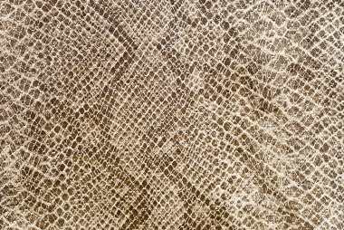 Reptile skin texture. clipart