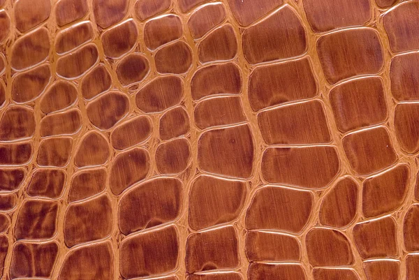 Рептилія текстуру шкіри . — стокове фото