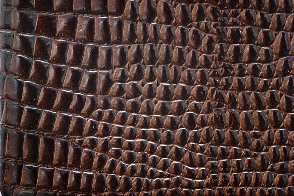 Textura da pele do réptil . — Fotografia de Stock