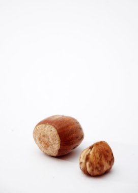 fındık