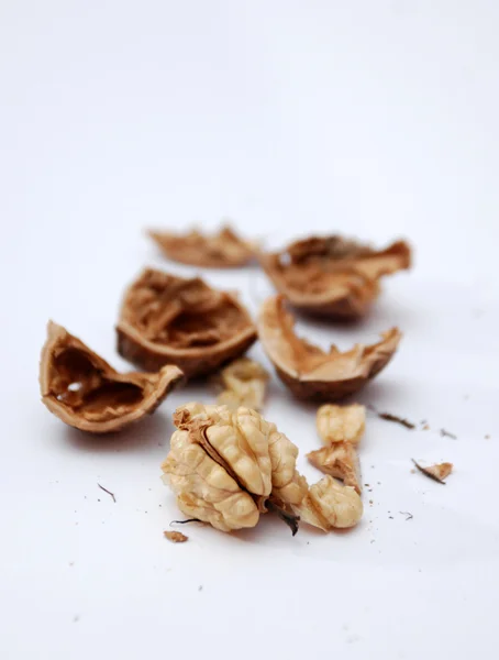 Walnuts and  nut shells on white — Stock Photo, Image