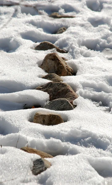 Камни в снегу — стоковое фото