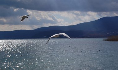 Makedonya 'nın Ohri Gölü