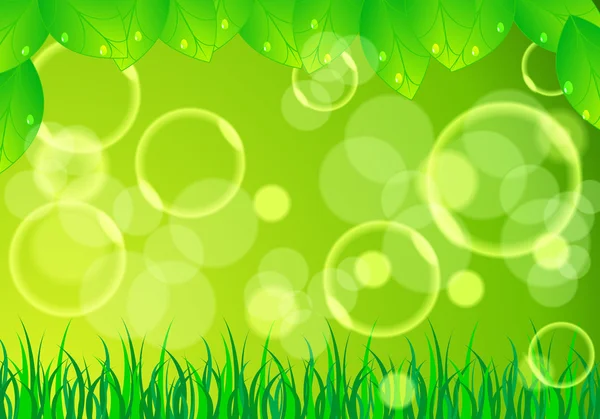 Beautiful green nature background — Stock Vector