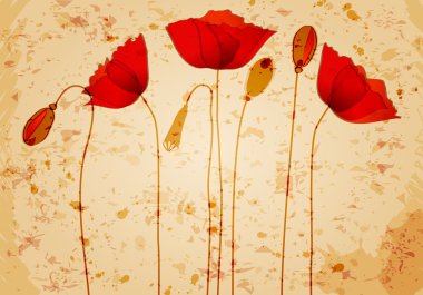 Beautiful poppies background illustration clipart