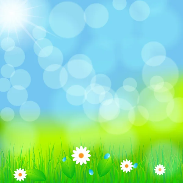 美丽的绿色春天草甸 — 图库矢量图片
