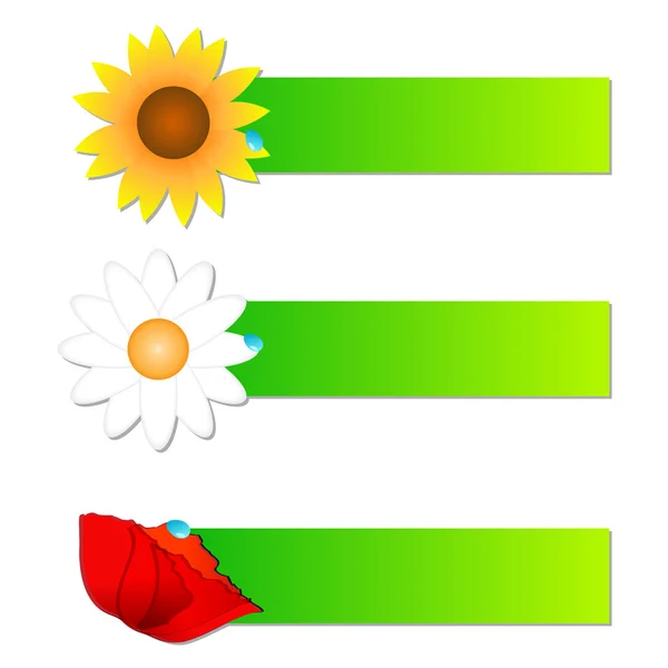 Ensemble d'étiquettes florales — Image vectorielle