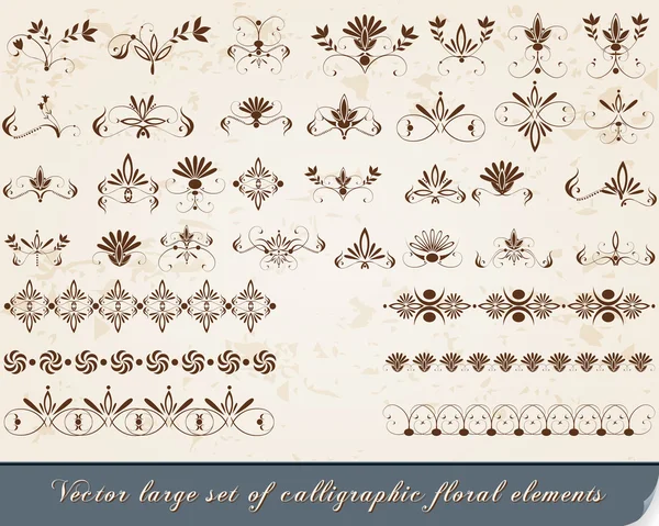 カリグラフィ ヴィンテージ、花のデザイン要素のセット — ストックベクタ