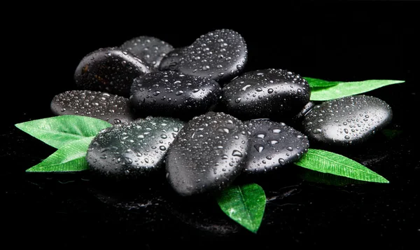 Черный камень с листом. массажные камни — стоковое фото