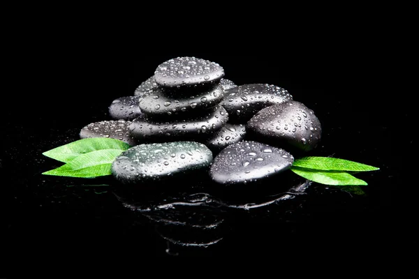 Svart sten med blad. massage stenar — Stockfoto