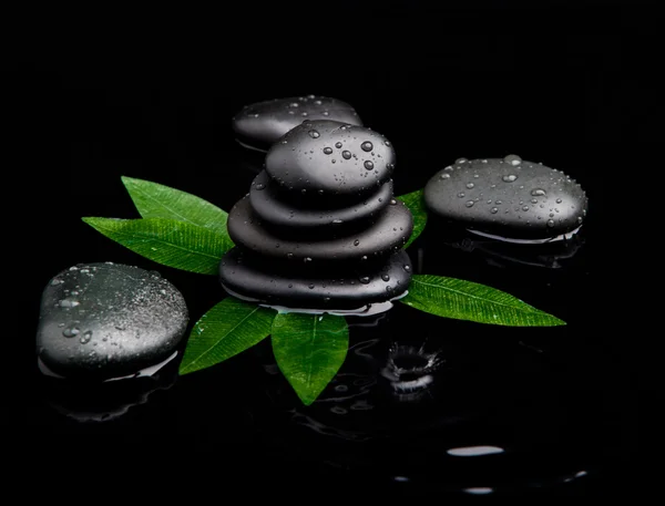 Pietra nera con foglia. pietre da massaggio — Foto Stock