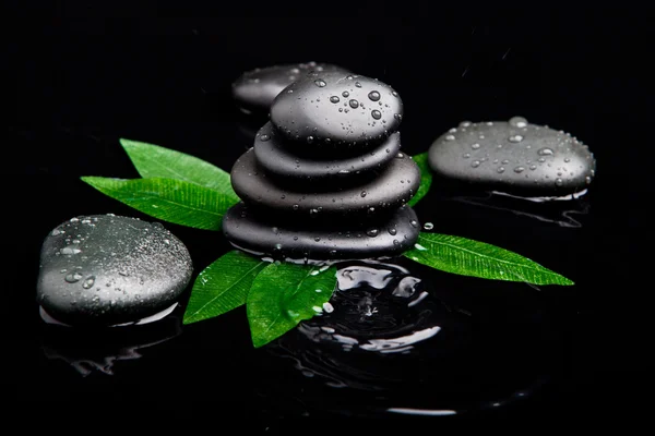 Zen pedras e folhas com gotas de água. folhas e pedras de basalto — Fotografia de Stock