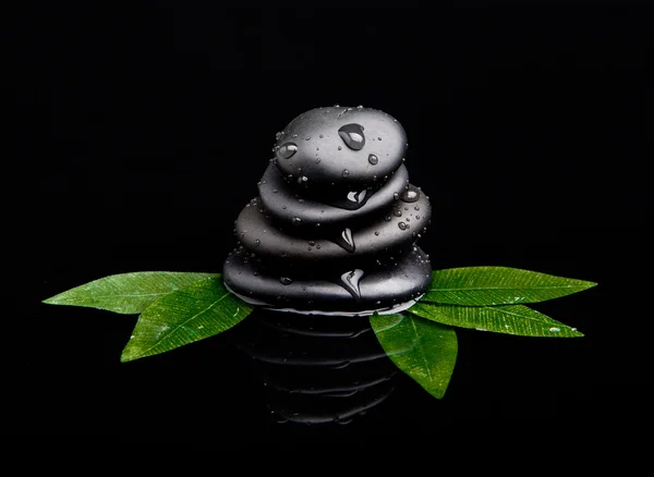 Piedra negra con hoja. piedras de masaje —  Fotos de Stock
