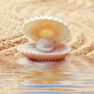 An open sea shell with a pearl inside. clipart