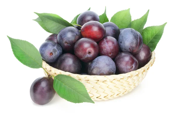 Real isolated ripe red plums — Stock Photo, Image