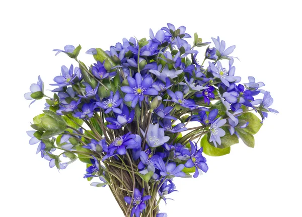 Bouquet dai primi fiori primaverili — Foto Stock