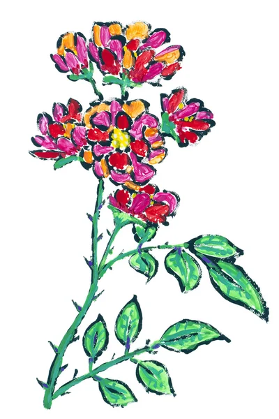 Rosa solitária isolada rosa — Fotografia de Stock