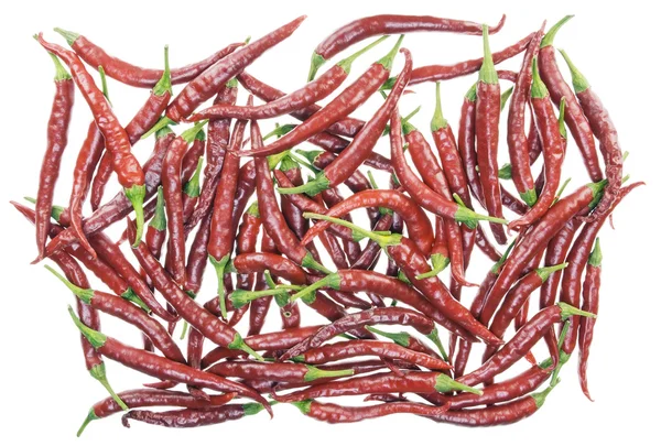 Un sacco di peperoncini rossi caldi isolati — Foto Stock
