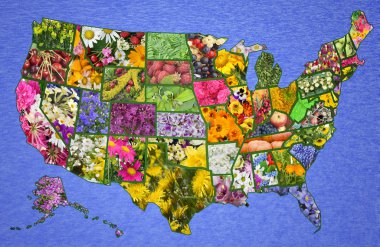 ABD Amerikan harita üzerinden çiçek