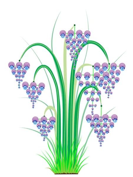 Buske med stora blå violett klockor blommor — Stockfoto