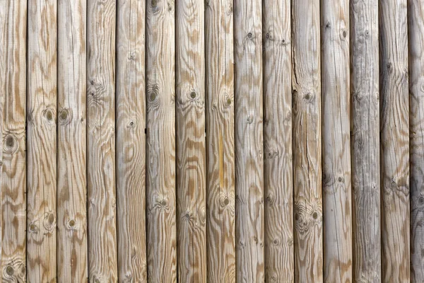 Smooth wood pine poles — Stock Photo, Image