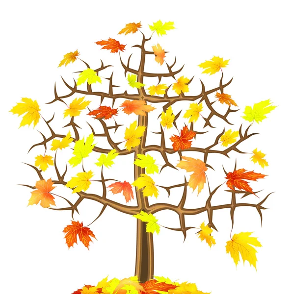Árvore de outono de bordo solitário — Fotografia de Stock