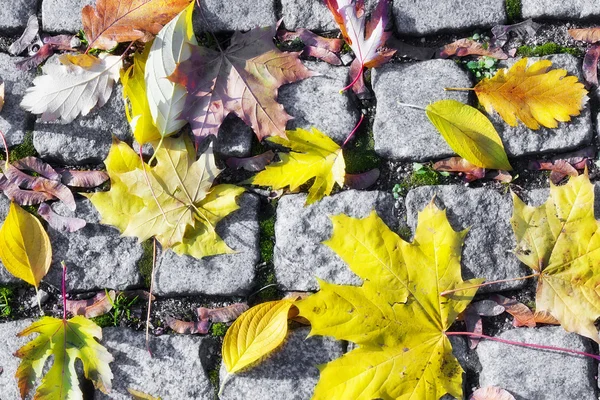Podzim ve starém městě — Stock fotografie