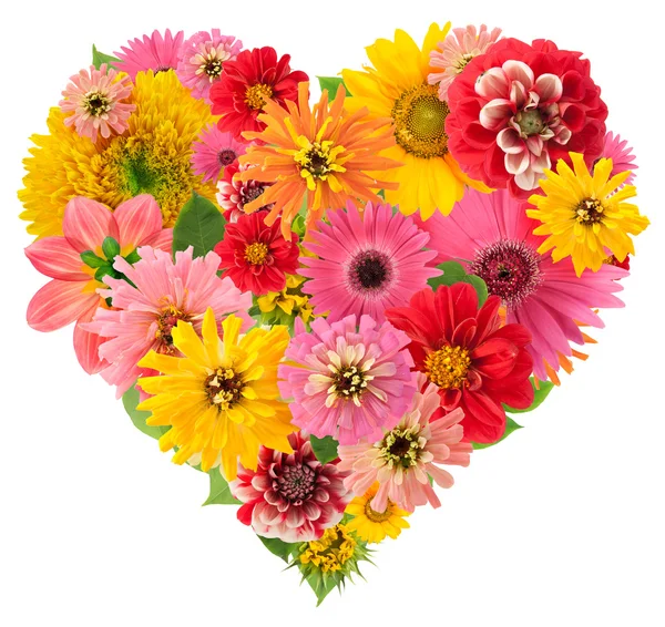 Veranos flores corazón — Foto de Stock