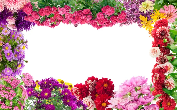 Fantastik çiçekli çerçeve — Stok fotoğraf