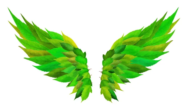 緑の翼の概念 — ストック写真