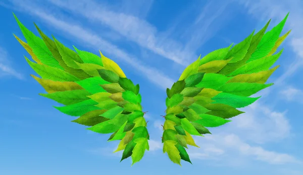Green wings concept — Stock Photo, Image