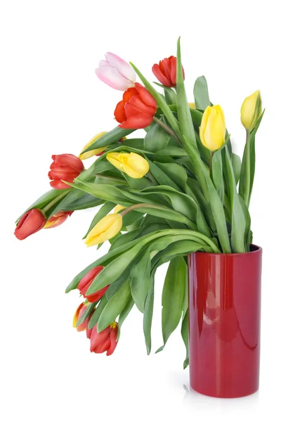 Tulipanes de primavera descoloridos en jarrón rojo — Foto de Stock