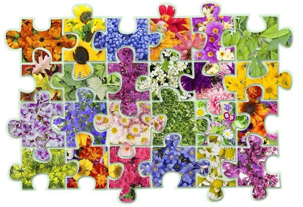 Floral puzzles abstract concept — Stock Photo, Image