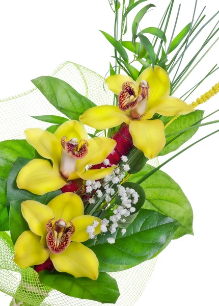 Bouquet di orchidee — Foto Stock