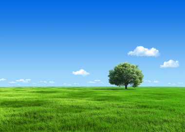 6000px nature collection - Green meadow 1 tree template clipart
