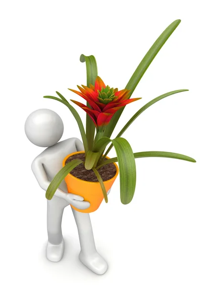 Collezione Lifestyles - Fiorista con vaso da fiori — Foto Stock