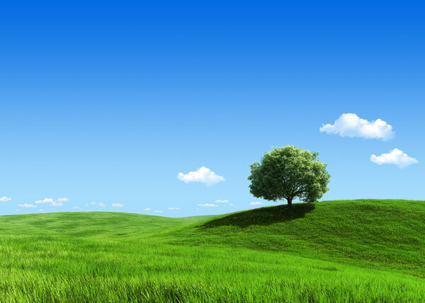 Nature collection - Green meadow 1 tree template