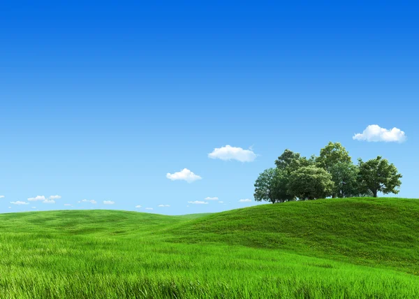 Nature collection - Green meadow group of trees template — Stock Photo, Image