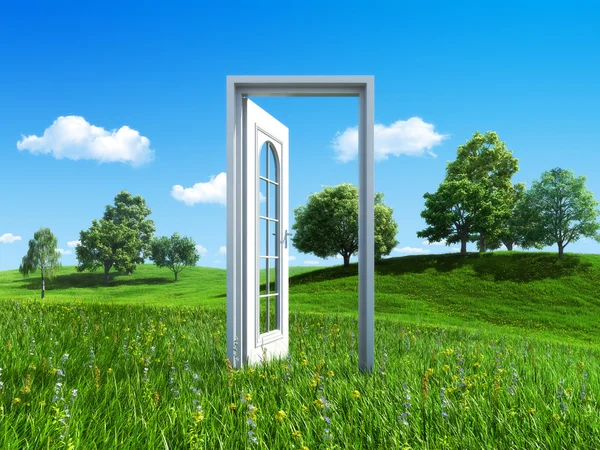 Nature collection - Door to success — Stock Photo, Image