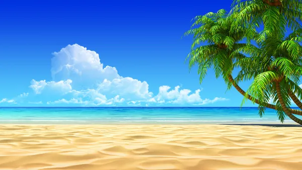 Palms on empty idyllic tropical beach — 스톡 사진