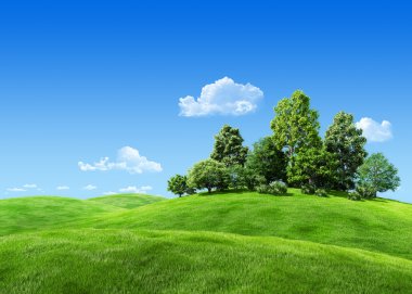 Very detailed 7000px trees on hill - nature collection clipart