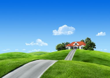 Very detailed 6000px house on green meadow - Nature collection clipart