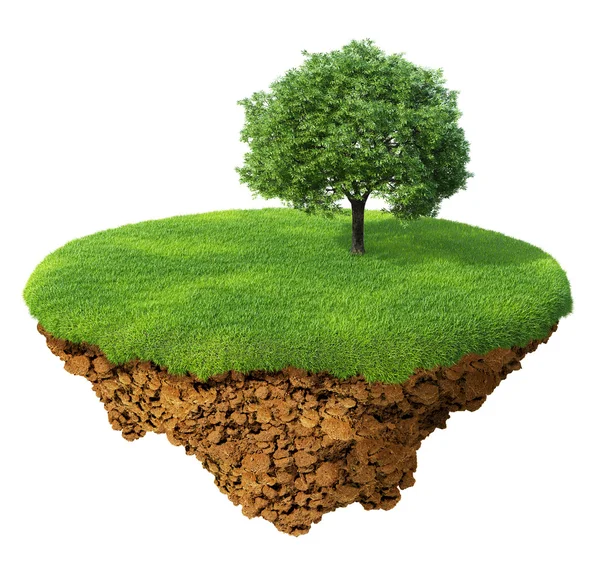 小细岛-星球。一块土地在空气中。草坪与一棵树。详细的地面基地 — 图库照片