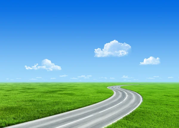 Very detailed 7000px road over grass field - nature collection — Stock Photo, Image