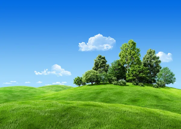Very detailed 7000px trees on hill - nature collection — Stock Photo, Image